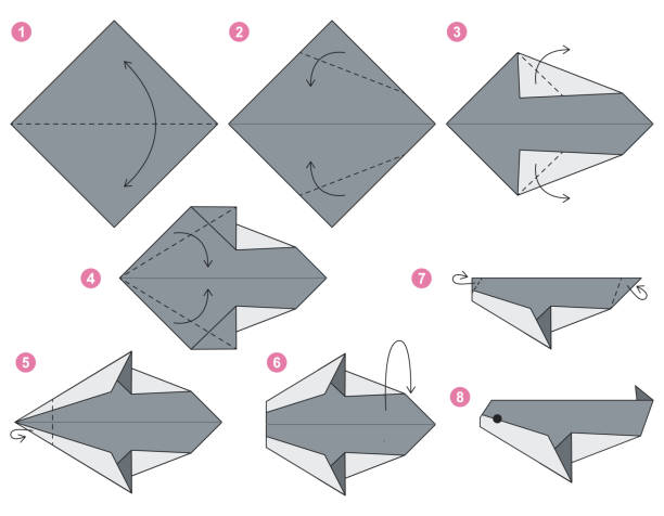 Killer whale origami scheme tutorial moving model. Origami for kids. Step by step how to make a cute origami killer whale. Vector illustration. Killer whale origami scheme tutorial moving model. Origami for kids. Step by step how to make a cute origami killer whale. Vector illustration. origami instructions stock illustrations