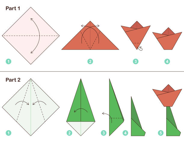 Tulip origami scheme tutorial moving model. Origami for kids. Step by step how to make a cute origami Tulip. Vector illustration. Tulip origami scheme tutorial moving model. Origami for kids. Step by step how to make a cute origami Tulip. Vector illustration. origami instructions stock illustrations
