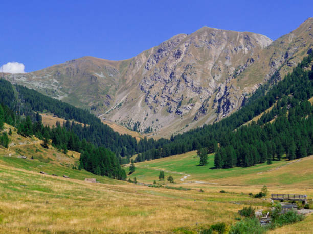 istock Vallone Vertosan, Aosta Valley, Italy 1437374796