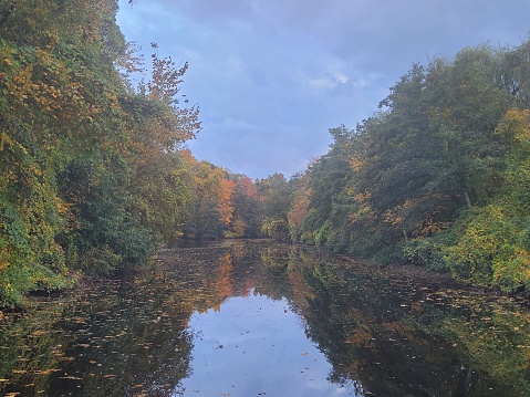 Colorful autumn trees reflected off the Bronx River