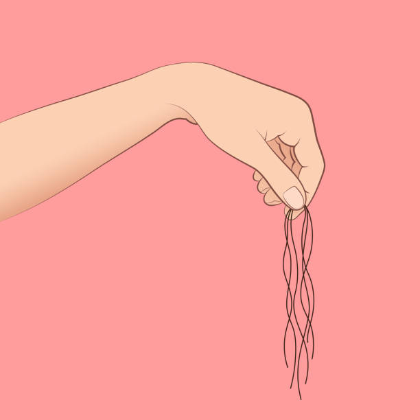 ilustrações de stock, clip art, desenhos animados e ícones de tuft of fallen hair in woman's hand, concept of hair loss - mulher careca
