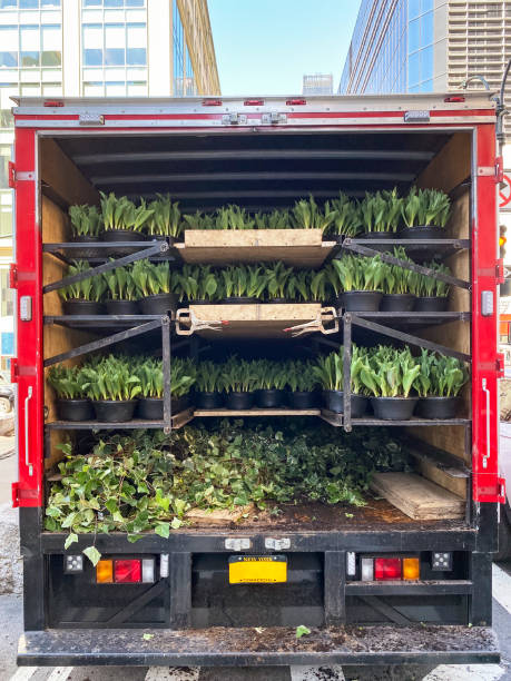 istock Flower truck 1437396163