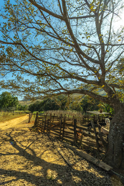 istock natural landscape in Serra da Canastra, Minas Gerais State, Brazil 1437403725