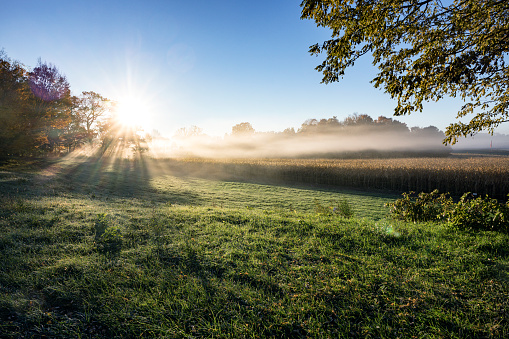 Awesome, ethereal, early October autumn dawn lens flare sunrise burning brightly through layers of foggy morning mist floating serenely above a tranquil, dew-drop drenched grass meadow and corn field in western New York State near Rochester, NY.