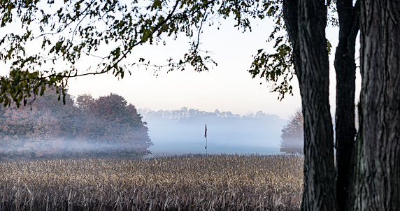 An American flag hangs motionless on a distant tall flag pole in a cool, crisp, western New York State agricultural landscape scene. Hazy, very early morning October pre-dawn mist and fog floats over a tranquil, late autumn corn field. Potential as a background for multiple generic agricultural concepts. Also for low key/generic nostalgia, patriotic, veteran's issues/themes, or US Veteran's Day, US Memorial Day, etc. concepts.