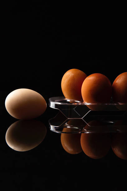 istock Eggs on plastic egg trays - stock photo 1437405565