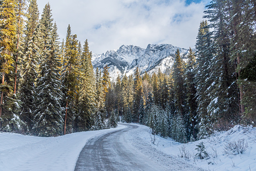 Views of Banff Park along the Bow valley Parkway in winter time