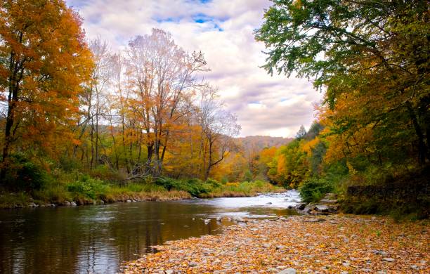 istock Calm River and Autumn Leaves 1437411298