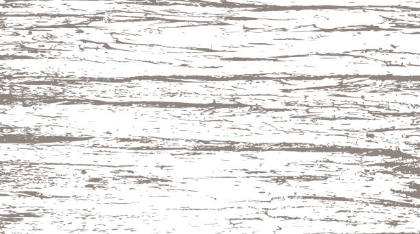 삼나무 껍질 질감 - bark backgrounds textured wood grain stock illustrations