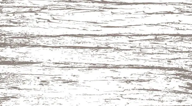 Vector illustration of Cedar bark texture