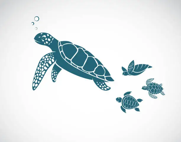 Vector illustration of Vector of turtles family design on white background. Easy editable layered vector illustration. Undersea Animals.