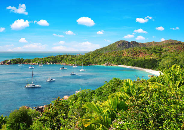 spiaggia di anse lazio nell'isola di praslin, seychelles, - seychelles foto e immagini stock