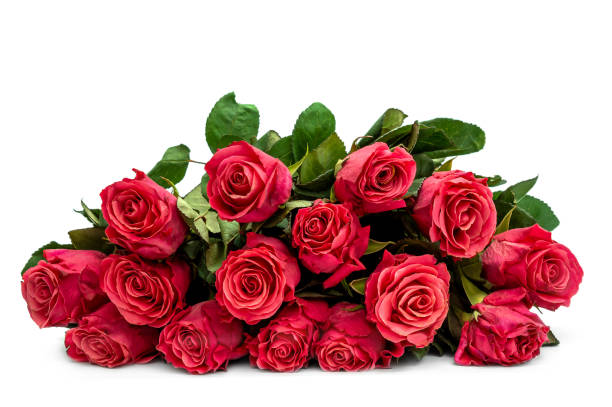 istock Bouquet of red roses laying on white. 1437420636