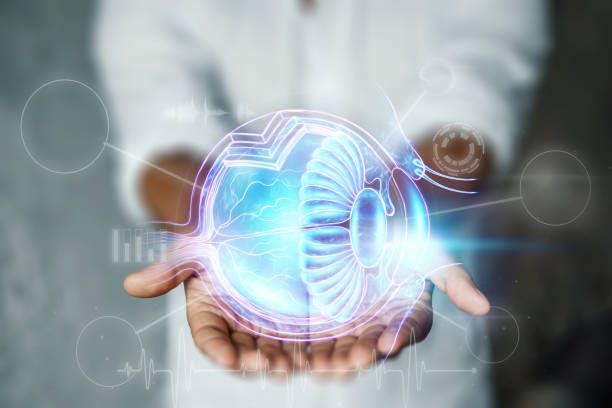 Realistic human eye hologram, doctor checks eyesight. Vision concept, laser eye surgery, catheract, ostegmatism, modern ophthalmologist. Realistic human eye hologram, doctor checks eyesight. Vision concept, laser eye surgery, catheract, ostegmatism, modern ophthalmologist visual sense stock pictures, royalty-free photos & images