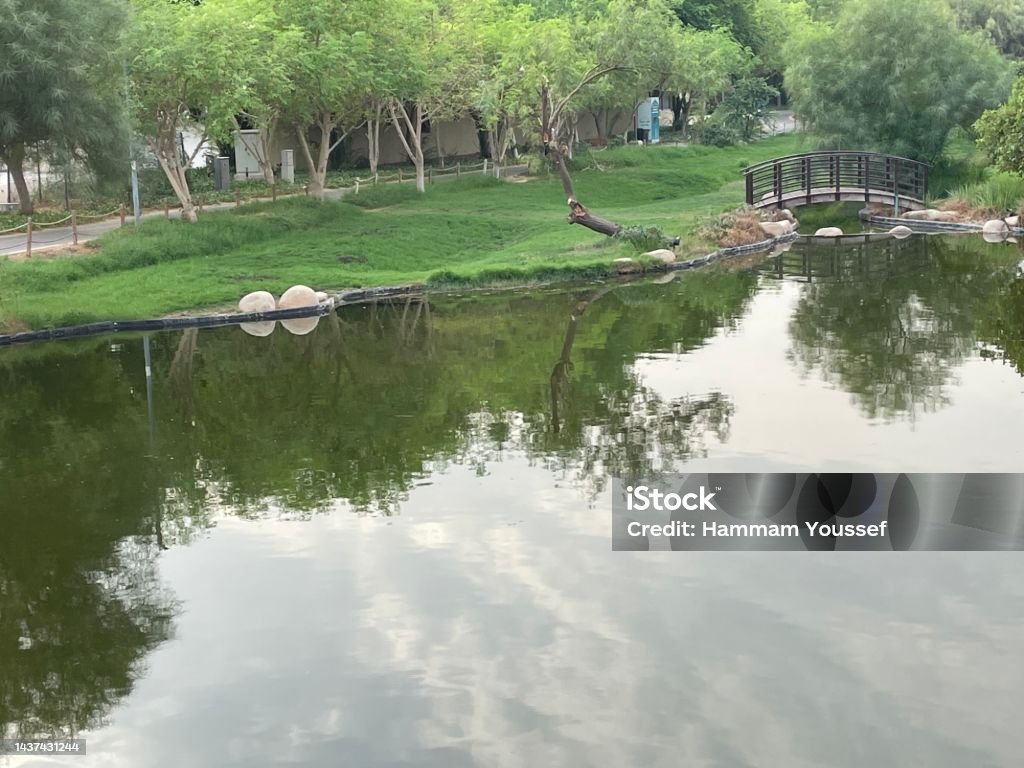 Park with a lake Park with a lake and foggy atmosphere Beauty In Nature Stock Photo