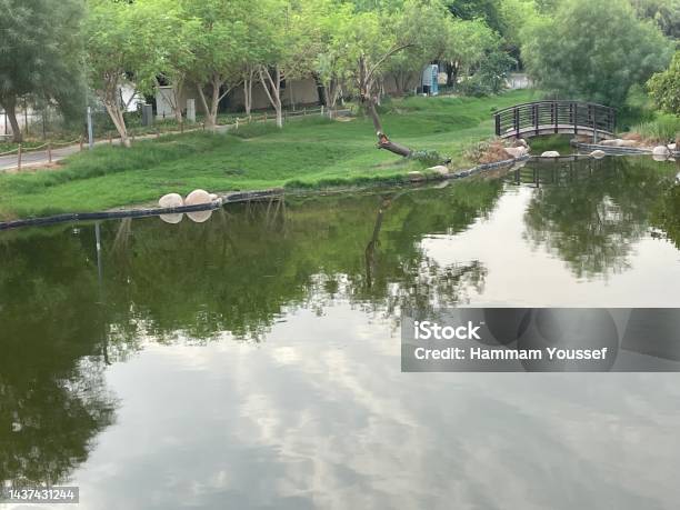 Park With A Lake Stock Photo - Download Image Now - Beauty In Nature, Cloud - Sky, Color Image