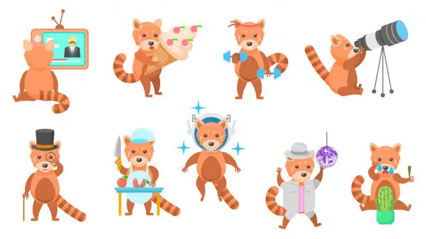 Vector illustration of Big Set Abstract Collection Flat Cartoon Different Animal Red Pandas Vector Design Style Elements Fauna Wild