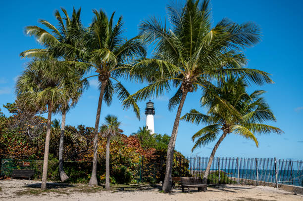 istock Cape Florida Lighthouse, Palm trees, Sunny day - Key Biscayne 1437433083
