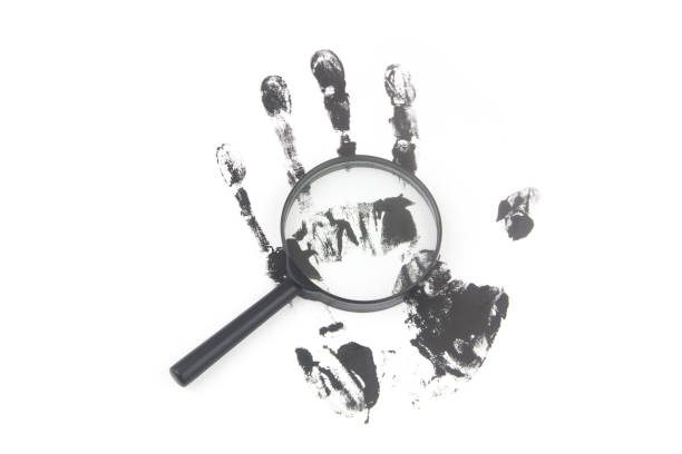 istock Magnifying lens and black hand print on white background. 1437435362