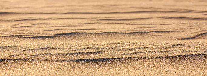 The Yellow sand closeup as texture.Selective focus