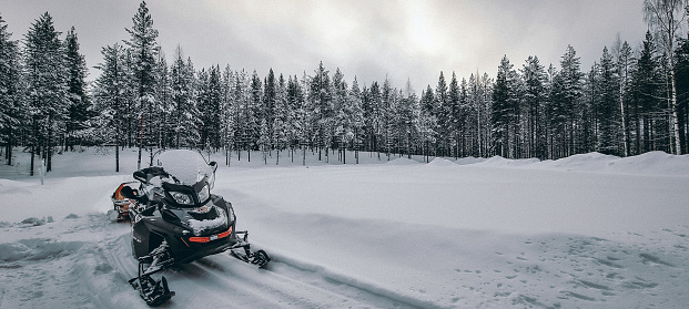 A black snowmobile parked on the snow and forest of pine trees in the background