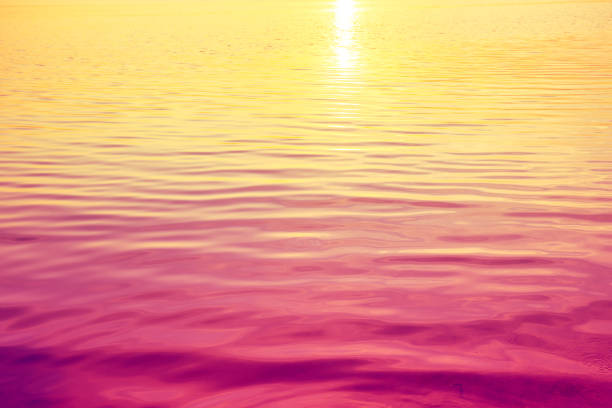 Calm sea water with sun reflection. Abstract nature landscape background