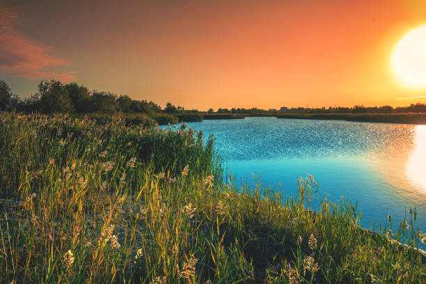 istock Lakeshore in the evening during sunset 1437442712