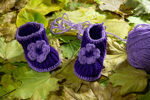A pair of knitted children's shoes in blue and lilac on yellow autumn leaves. Close-up