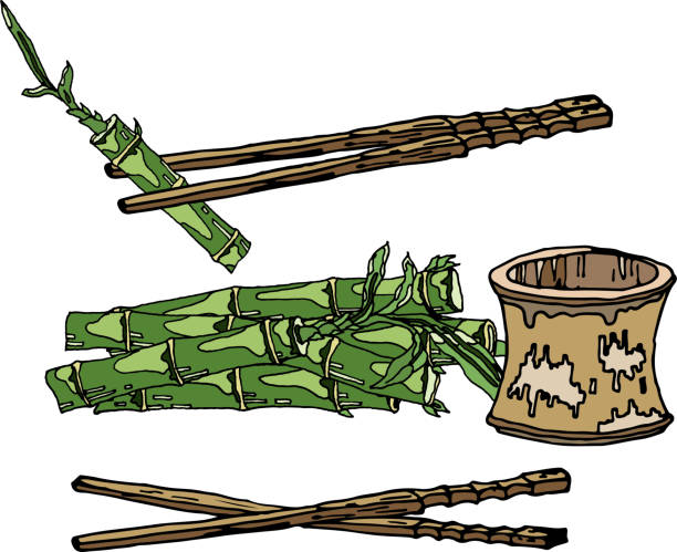 ilustracja bambusowego zestawu żywności i pędów bambusa na białym tle. bambus, bambusowe kubki i patyczki, wegańska naturalna żywność, gotowa do użycia, eps. dla twojego projektu - bamboo shoot bamboo japanese culture paintings stock illustrations