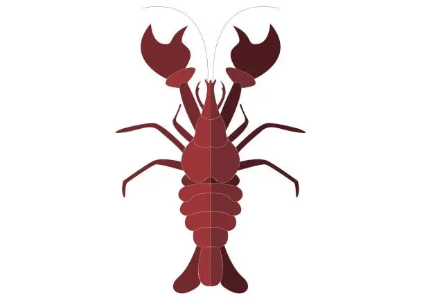 Vector illustration of Red big lobster on white empty background