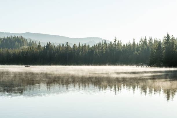 istock River with morning mist and reflection of pine trees on the surface 1437447741