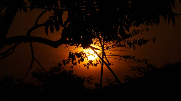 istock beautiful view of orange sunset in backyard 1437447826