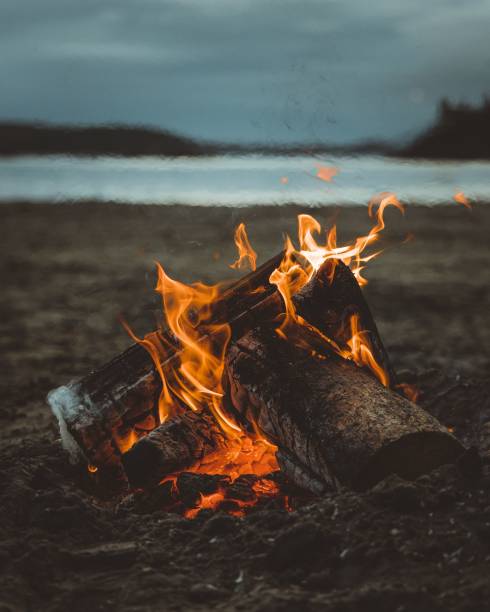 istock Vertical shot of campfire on the beach in the evening 1437449087