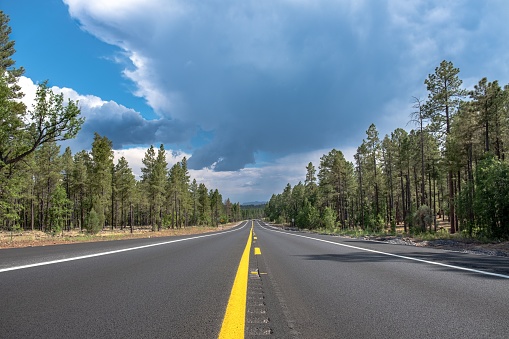 A beautiful shot of long asphalt road with yellow line surrounded by trees under cloudy sky