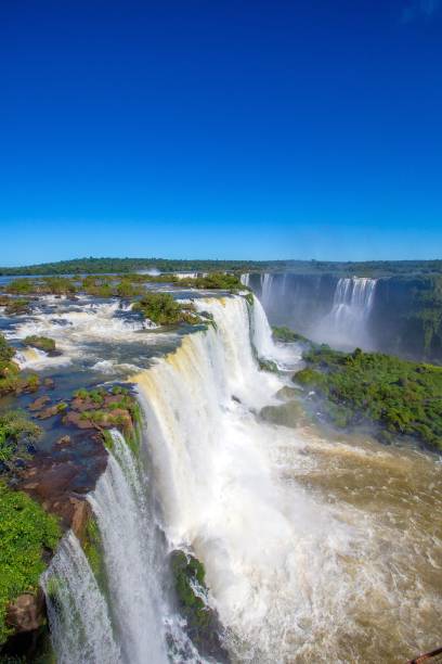 водопад игуасу в бразилии в окружении деревьев под голубым небом - green woods forest southern brazil стоковые фото и изображения