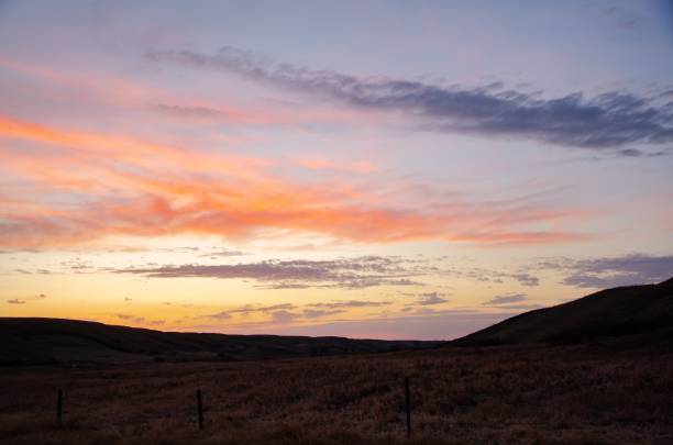 istock Grass field gleaming under the pink cloudy sky 1437449962