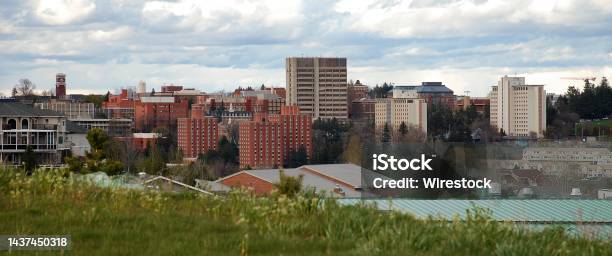High Angle Shot Of The Campus Of Washington State University In Pullman Washington Stock Photo - Download Image Now