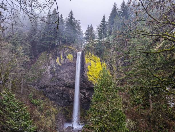 istock Beautiful view of Latourell Falls surrounded with pine trees in Guy Webster Talbot State Park, US 1437450339