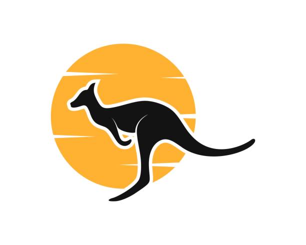 sonnenuntergang mit känguru-silhouette im inneren - wildnisgebiets name stock-grafiken, -clipart, -cartoons und -symbole