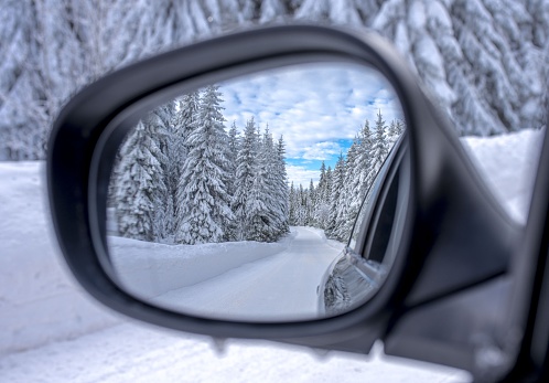 A beautiful winter landscape with snowy fir trees in a car side mirror