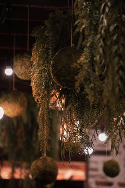 istock Grass ceiling decoration with light bulbs in a cafe 1437452253