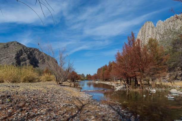 istock Small river flowing through rocks and trees against a blue cloudy sky 1437454709