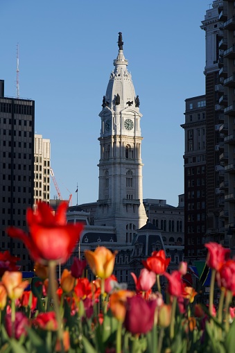 A vertical of the Philadelphia City Hall tower against colorful flowers in Pennsylvania