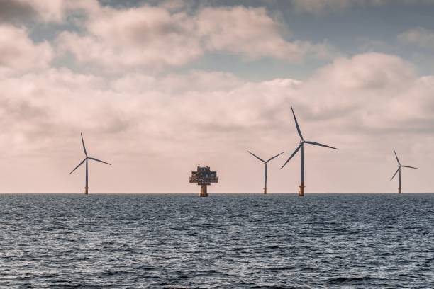 istock Wind farms in the water 1437455114