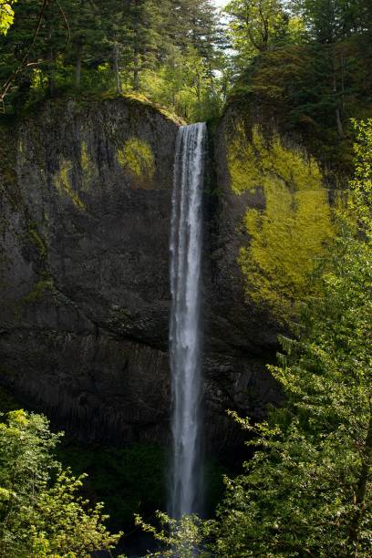 istock Breathtaking view of Latourell Falls waterfall in Oregon 1437455374