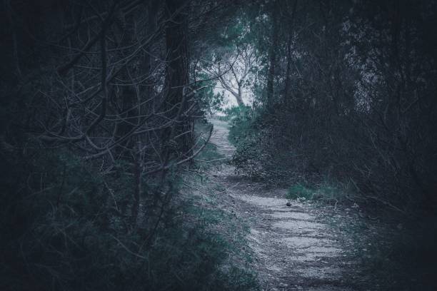 istock Mesmerizing narrow road through the green trees under a cloudy sky 1437455457