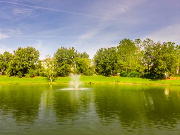 istock Sunning at the Fountain 1437455597