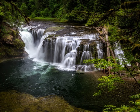 A landscape view of the Lower Lewis River Falls in the Gifford Pinchot National Forest, Washington State.