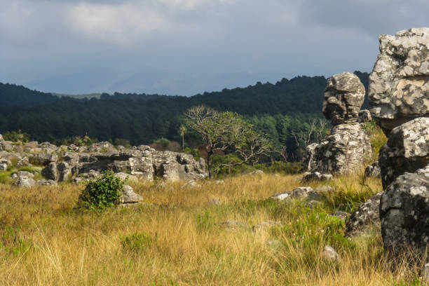 estranha formação rochosa natural de pedregulhos empilhados desgastados em um planalto gramado na região de aro kaapsche de mpumalanga áfrica do sul. - weatherd - fotografias e filmes do acervo