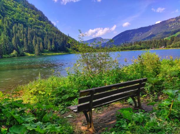 istock Beautiful lake surrounded by rocks and vegetation and a lonely bench 1437456099